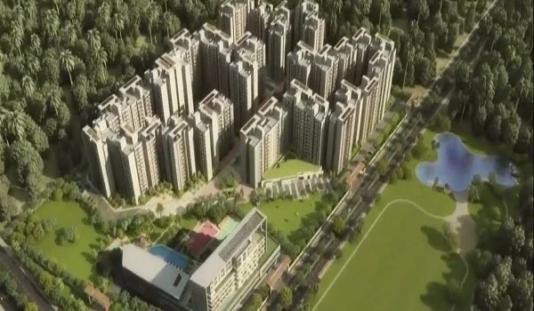 Tata Carnatica Project Review